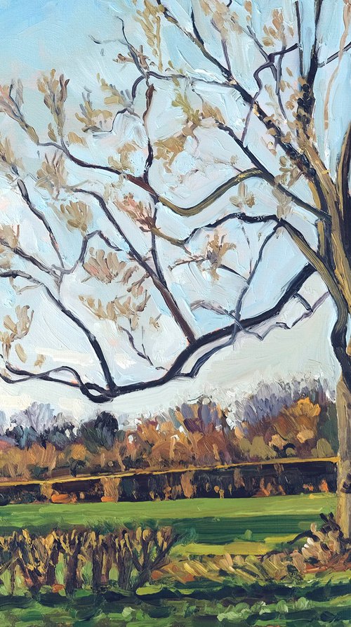 Towards St Michael's, Coxwold by Jeff Parker
