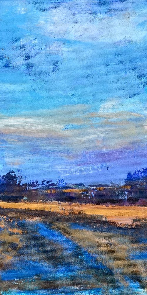 Late Afternoon Sky by Chrissie Havers