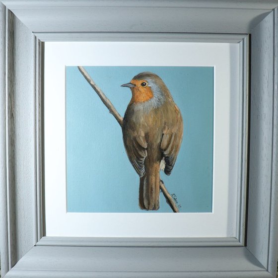 Robin Study Painting