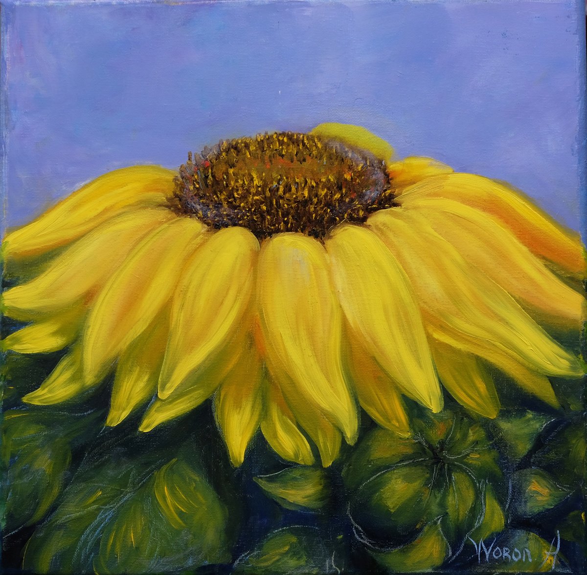 Photorealistic Botanical Oil Painting By Anastasia Woron, 12 X 12, Sunflower., Original Artwork