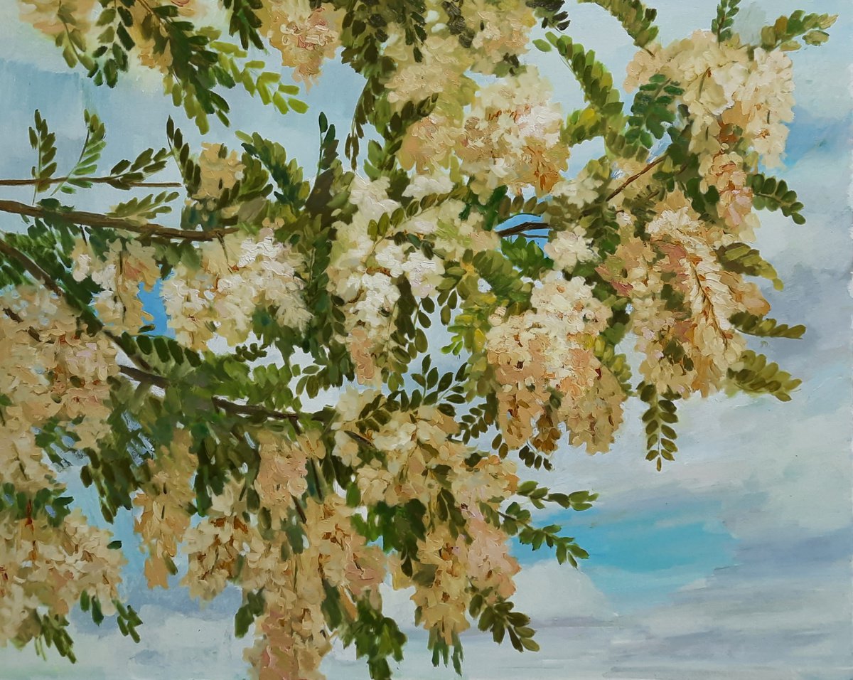 Acacia blossoms- Original oil painting (2021) by Svetlana Norel