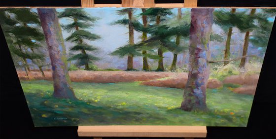 Impressionist Pine tree forest grass and bracken