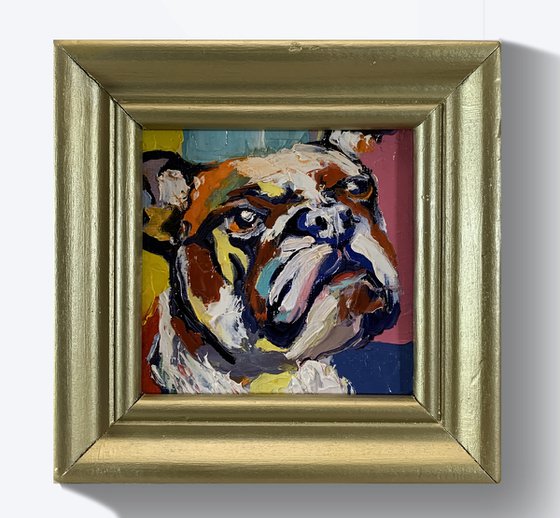 Colorful Bulldog.