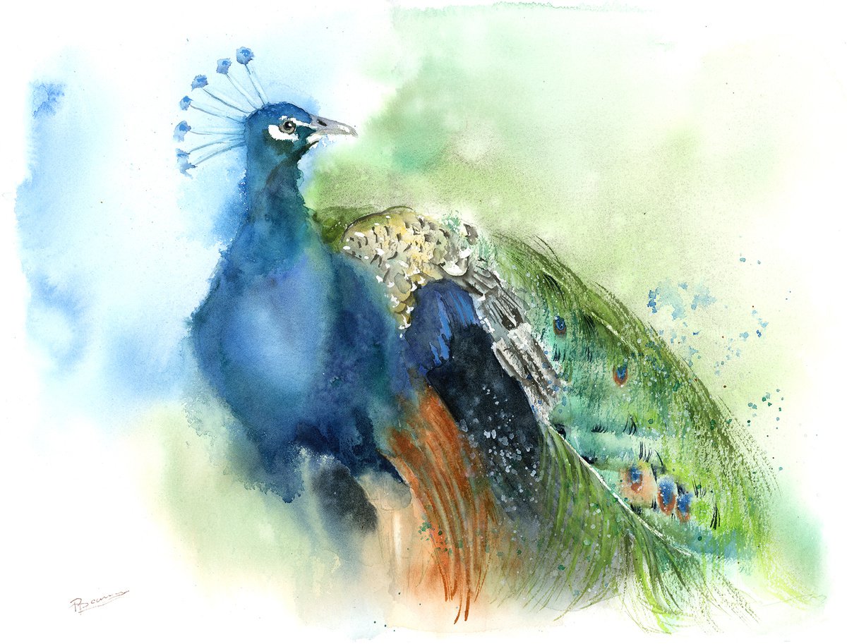 Impressionistic Animal Watercolour By Olga Tchefranov (Shefranov), 16 X 12", Majestic Peacock, Original Artwork