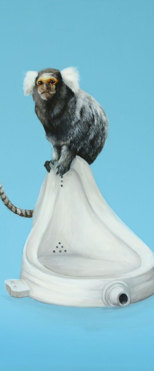 Marmoset Duchamp by Joshua Daniels