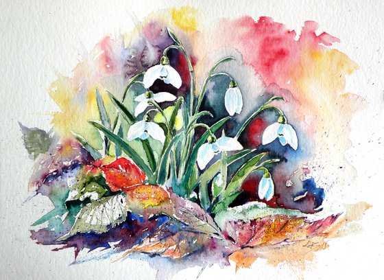 Snowdrops
