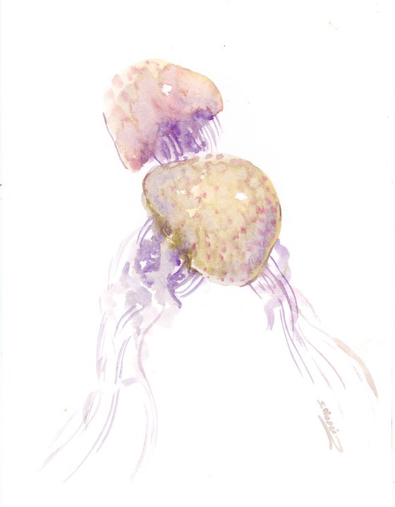 Jellyfish