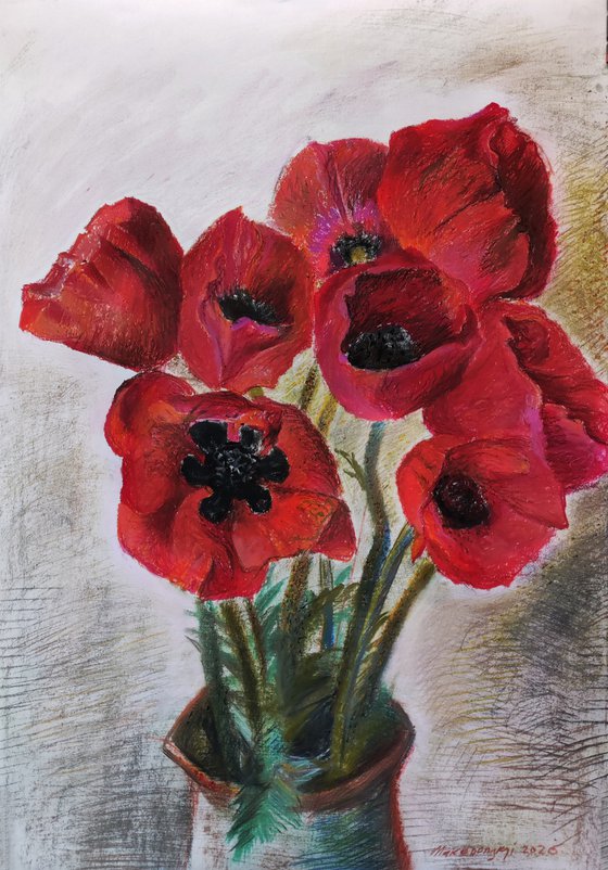 Red poppies