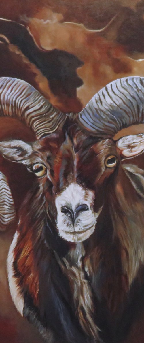 Foul Play, Portrait of a Mouflon by Anne Zamo