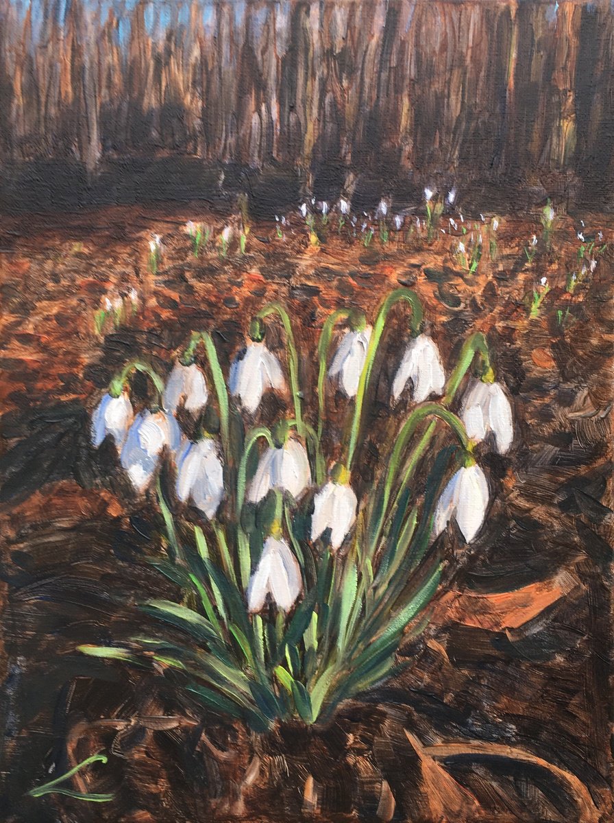 Impressionistic Botanical Oil Painting By Elena Sokolova, 12 X 16, Snowdrops 4, Original Artwork