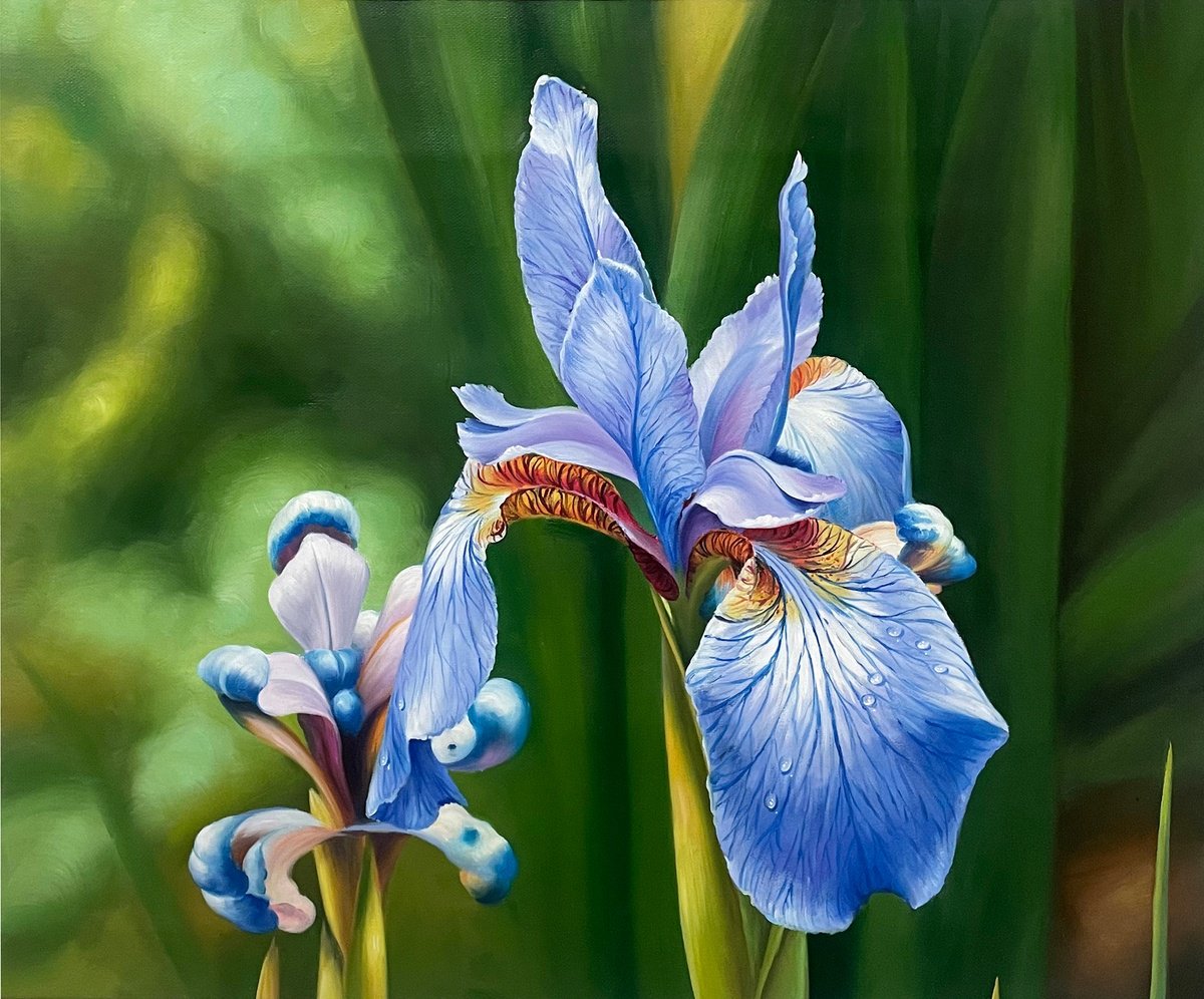 Impressionistic Botanical Oil Painting By Kunlong Wang, 24 X 20", Beautiful Flowers T268, Original Artwork