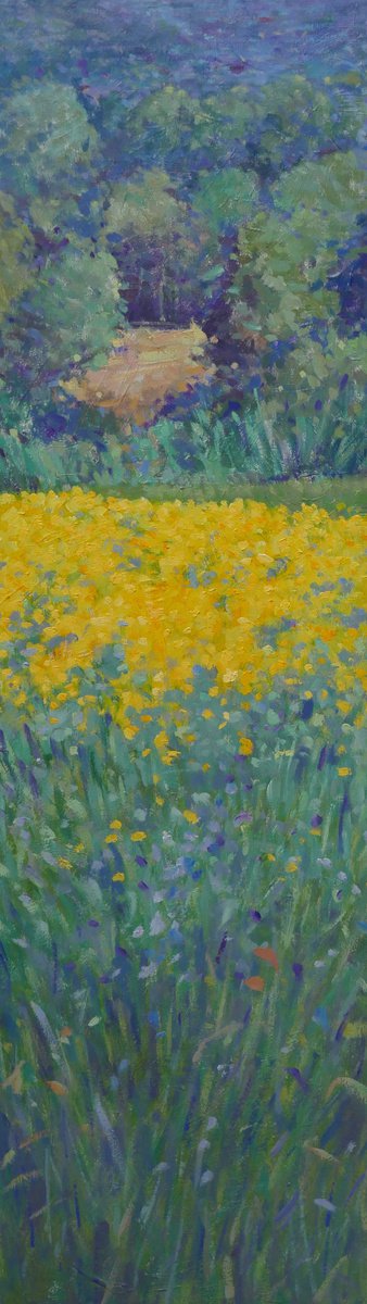 Impressionistic Botanical Oil Painting By Claudio Ciardi, 12 X 39, Rapeseed Field In Tuscany, Original Artwork