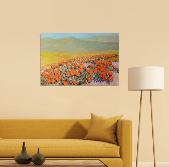 California Poppy