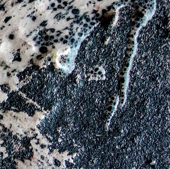 Frozen Pond 1