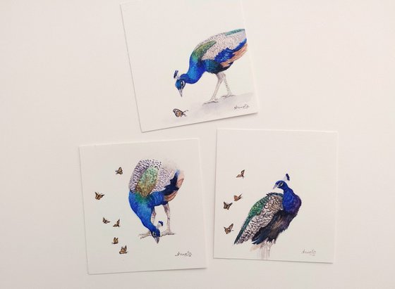 Peacock Miniature Art