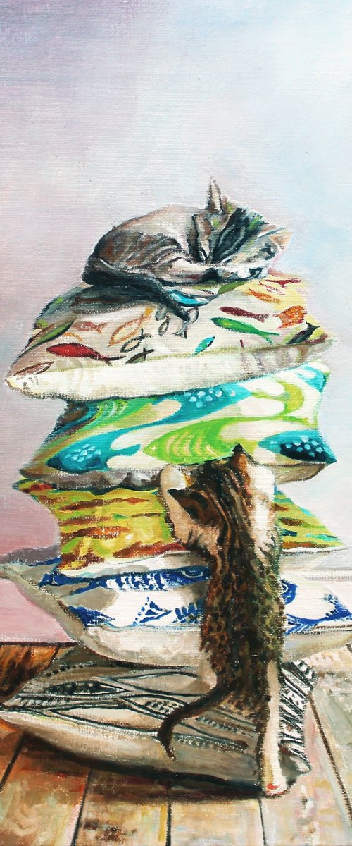 Cushion kitties by Timothy Adam Matthews