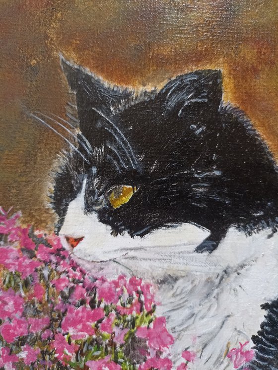cat, flowers and butterfly