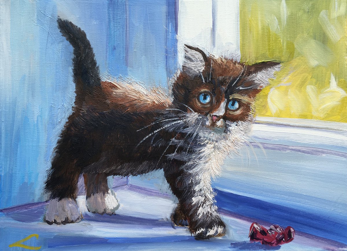 Impressionistic Animal Oil Painting By Elena Sokolova, 16 X 12, Kitten, Original Artwork