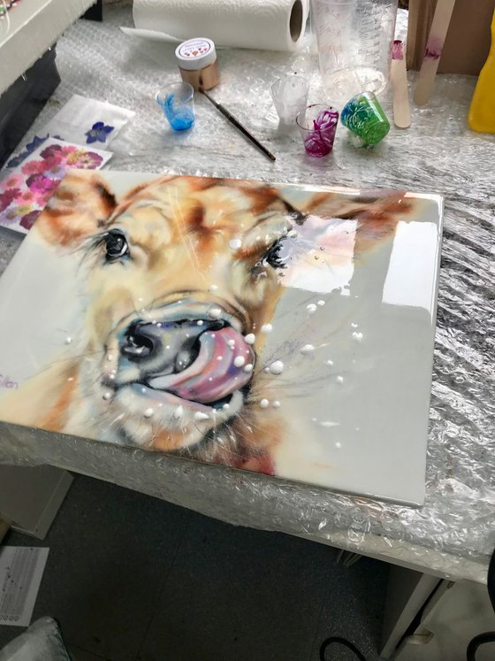 Messy Fred -  Original Oil Painting Jersey Cow, Resin 16x12"