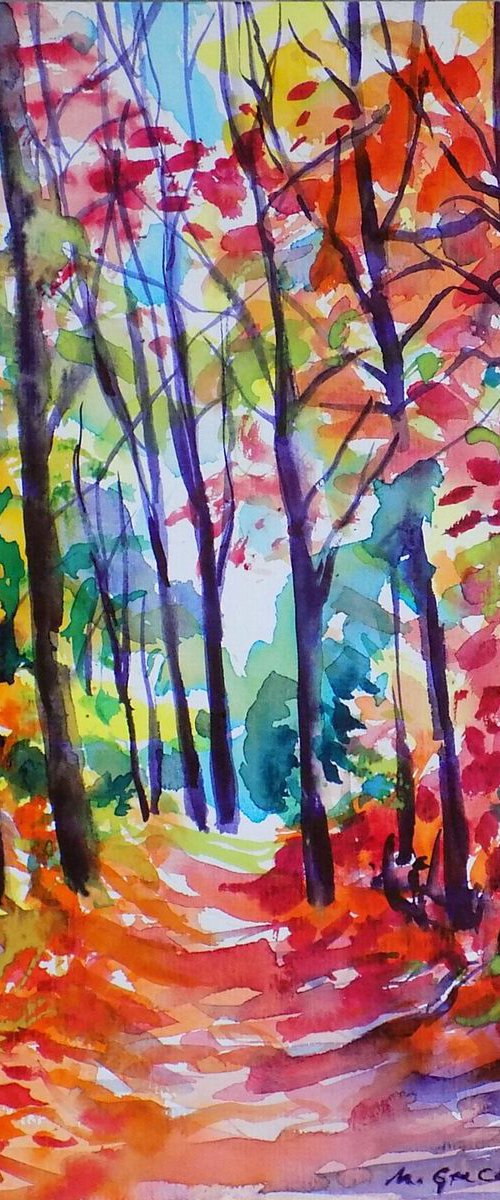 Forest path VI by Maja Grecic