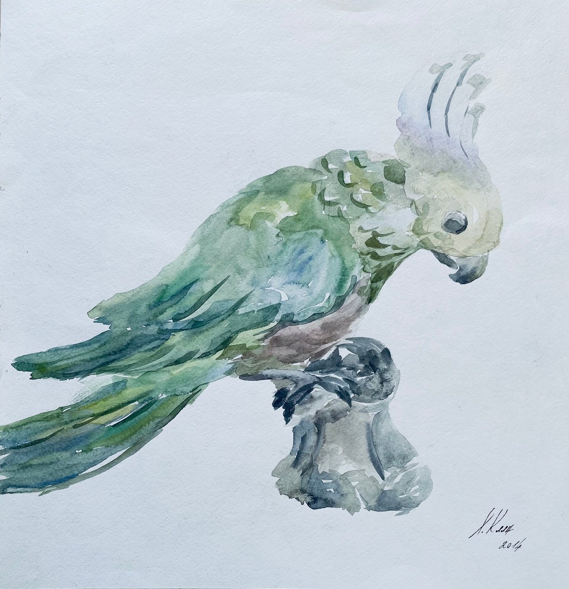 Parrot. Original watercolour painting. by Elena Klyan