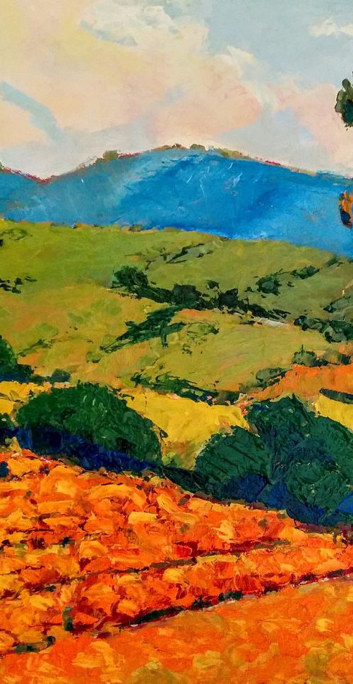 The three sentinels, Landscape by Padmaja Madhu