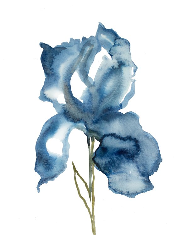 Iris No. 133