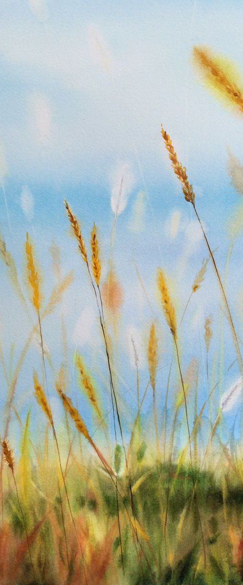 Dry Grass - autumn grass - ind by Olga Beliaeva Watercolour