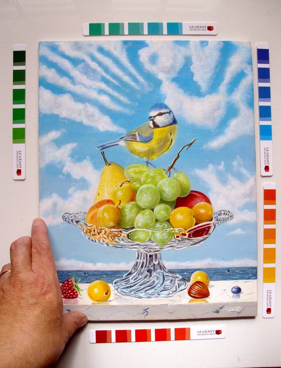 My blue tit is still at the top