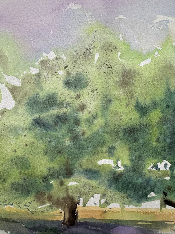 WC: Olive Trees in Provence