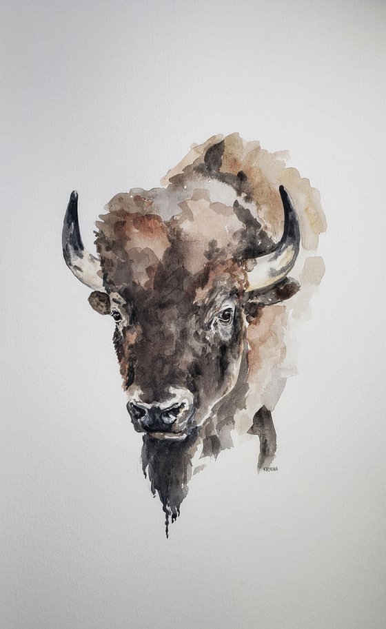 Bison - Buffalo - Wildlife - "Resilience"