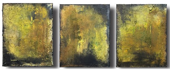 Resting In The Lichen