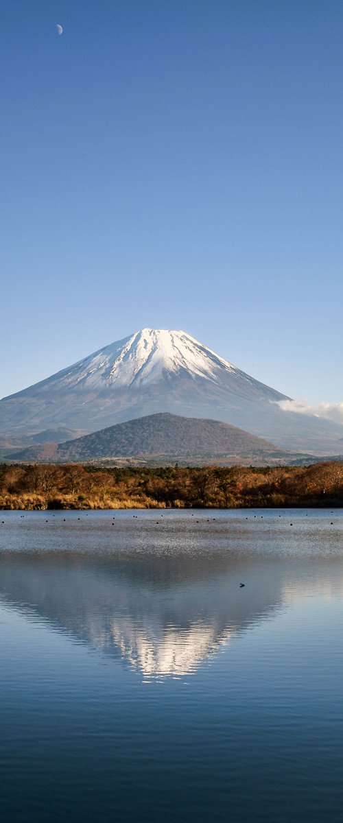 FUJI UNDER THE MOON by Fabio Accorrà