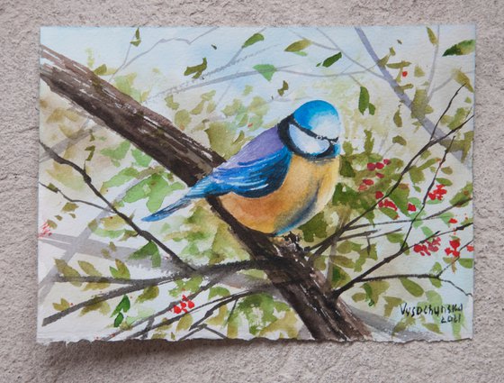 Blue tit bird painting. Original art. Little bird.