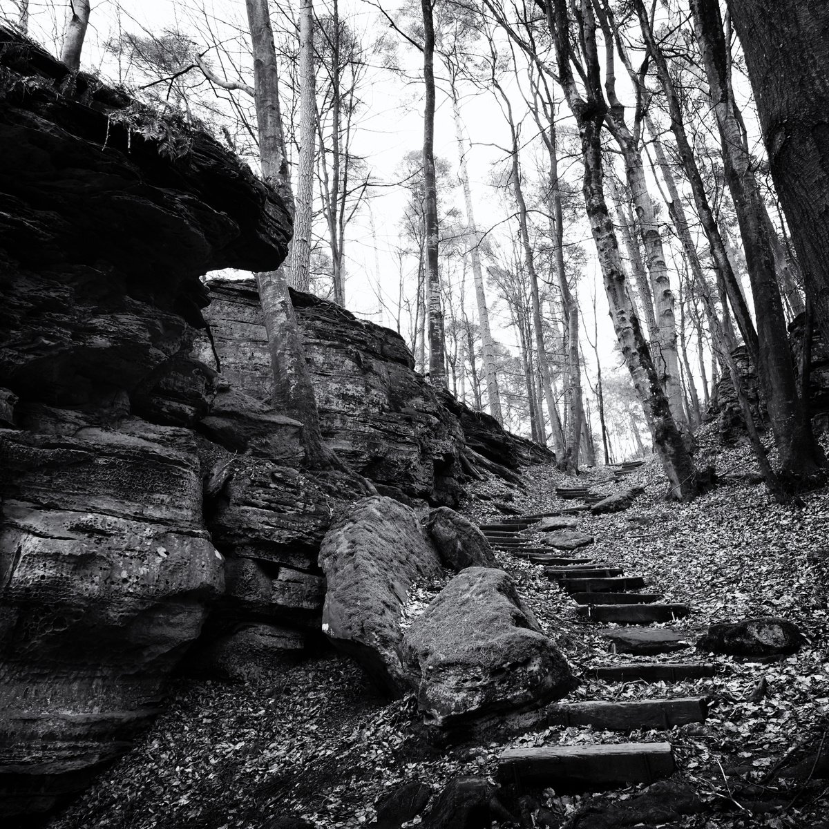 my way between rocks and trees by Christian Schwarz