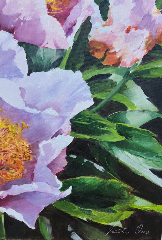 Pink peonies