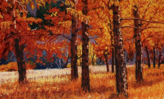 A Symphony of Autumn Aspens