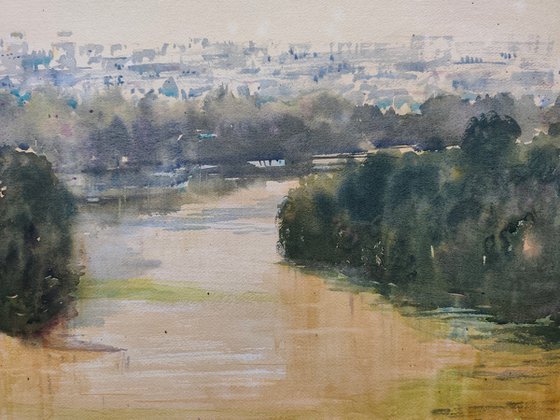 Pogled na ušće - zeleno i zlatno