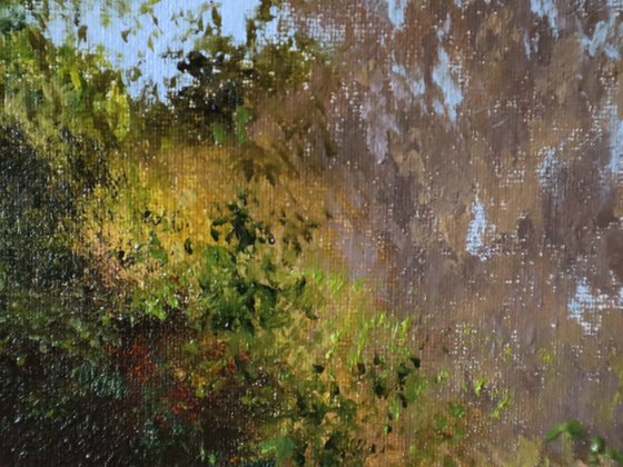 Sunlight Through Trees