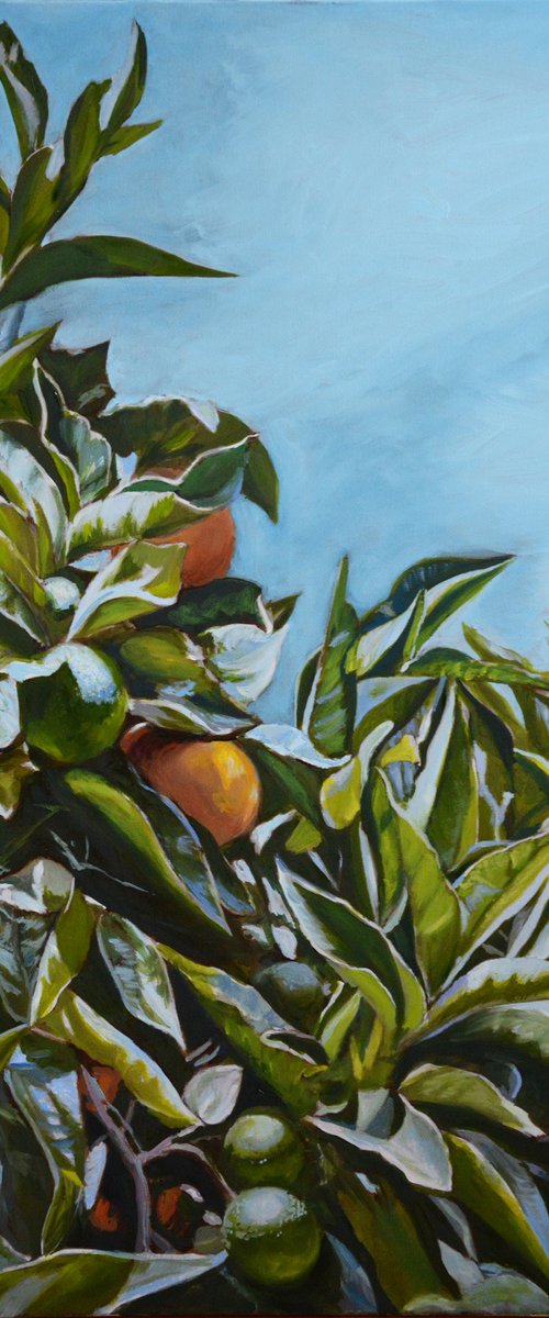 How many oranges are there? Orange tree painting by Anna Brazhnikova