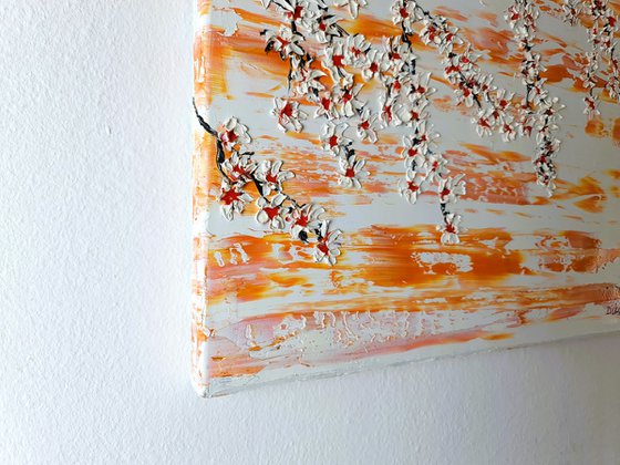 Cherries in the spring 3