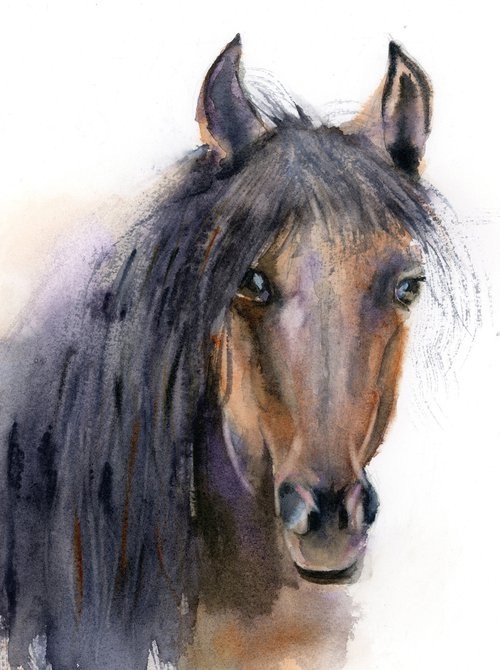 Horse portrait (1) by Olga Shefranov (Tchefranov)
