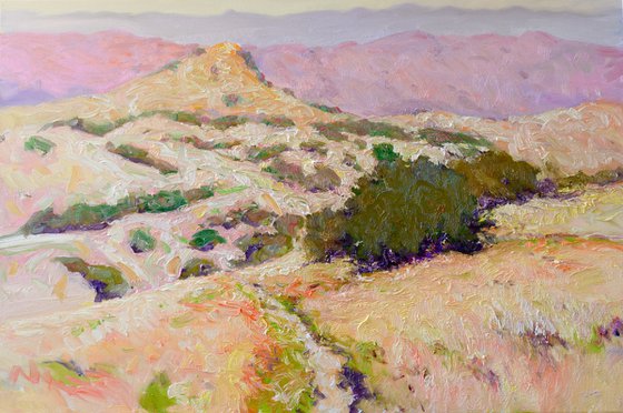 Summer Morning. California Mountains