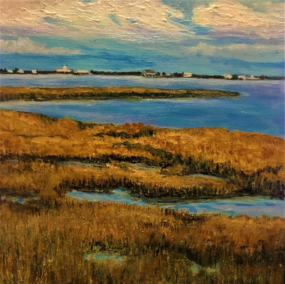 Tidal Marsh Near St Michael’s on the Chesapeak Bay by Nancy Brockmon