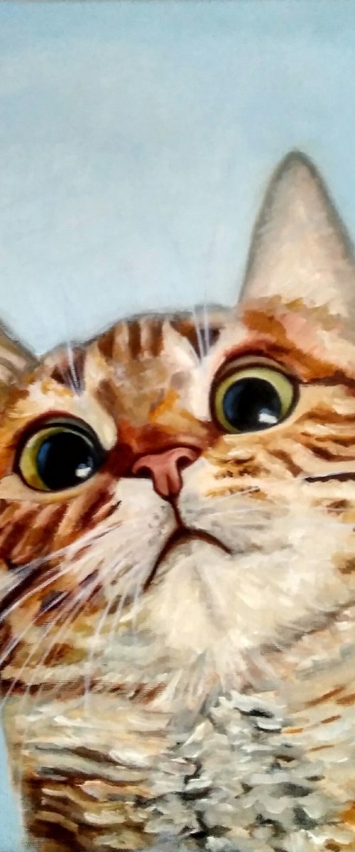 Funny cat portrait by Yulia Berseneva