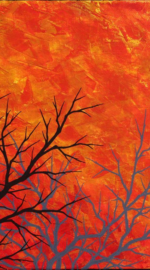Flamboyant sky by Jonathan Pradillon