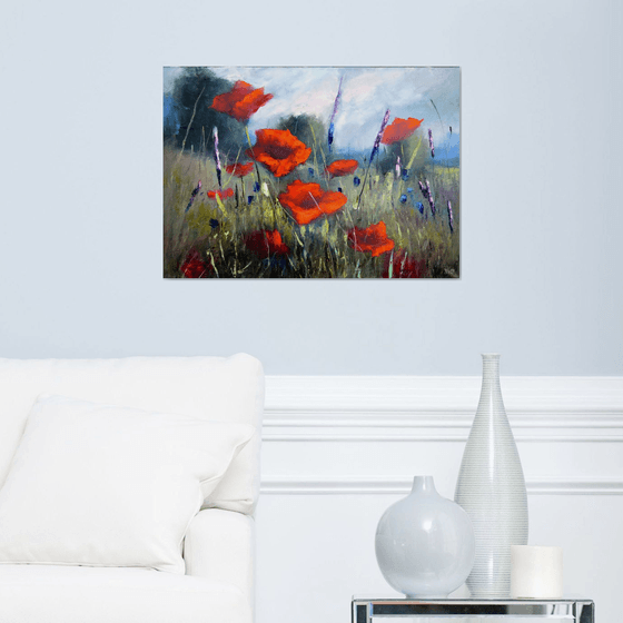 Poppy meadow