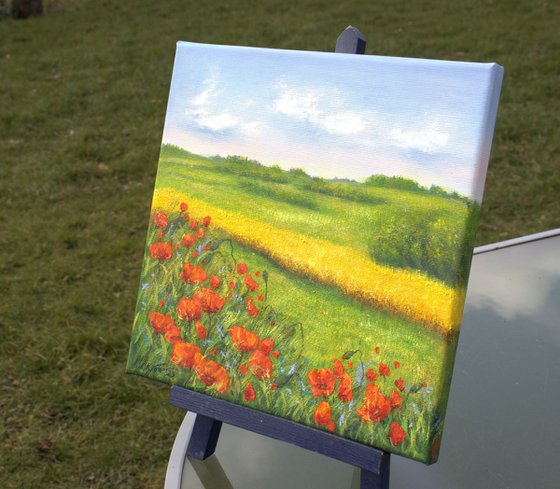 Red poppies field