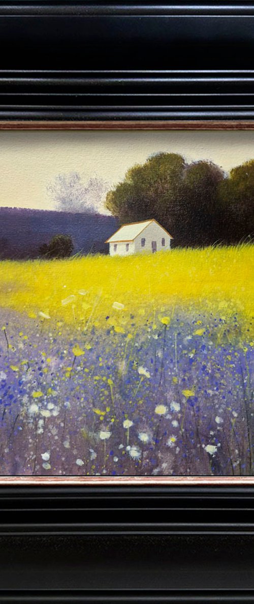 Sun-Kissed Hill by Ayna Paisley