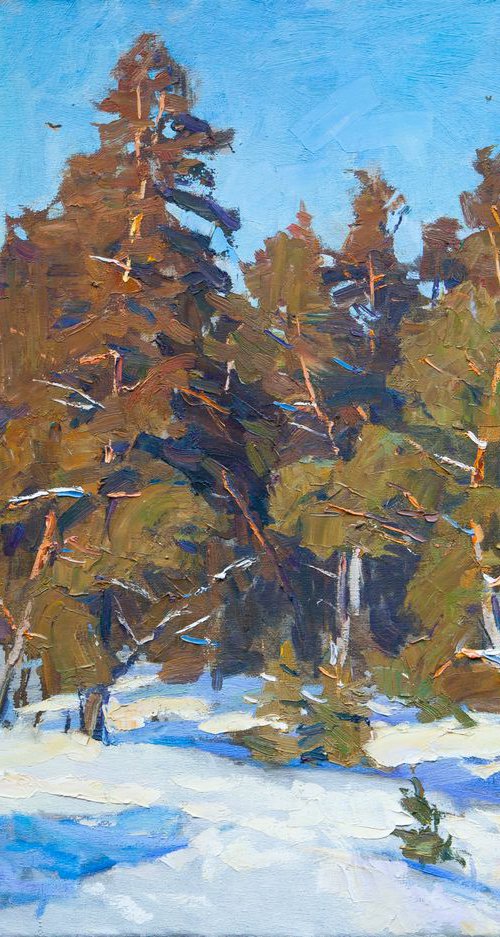 Coldfrost and sunshine, day of wonder by Aleksandr Korol
